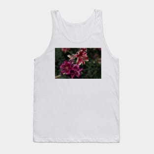 850_4538 Tank Top